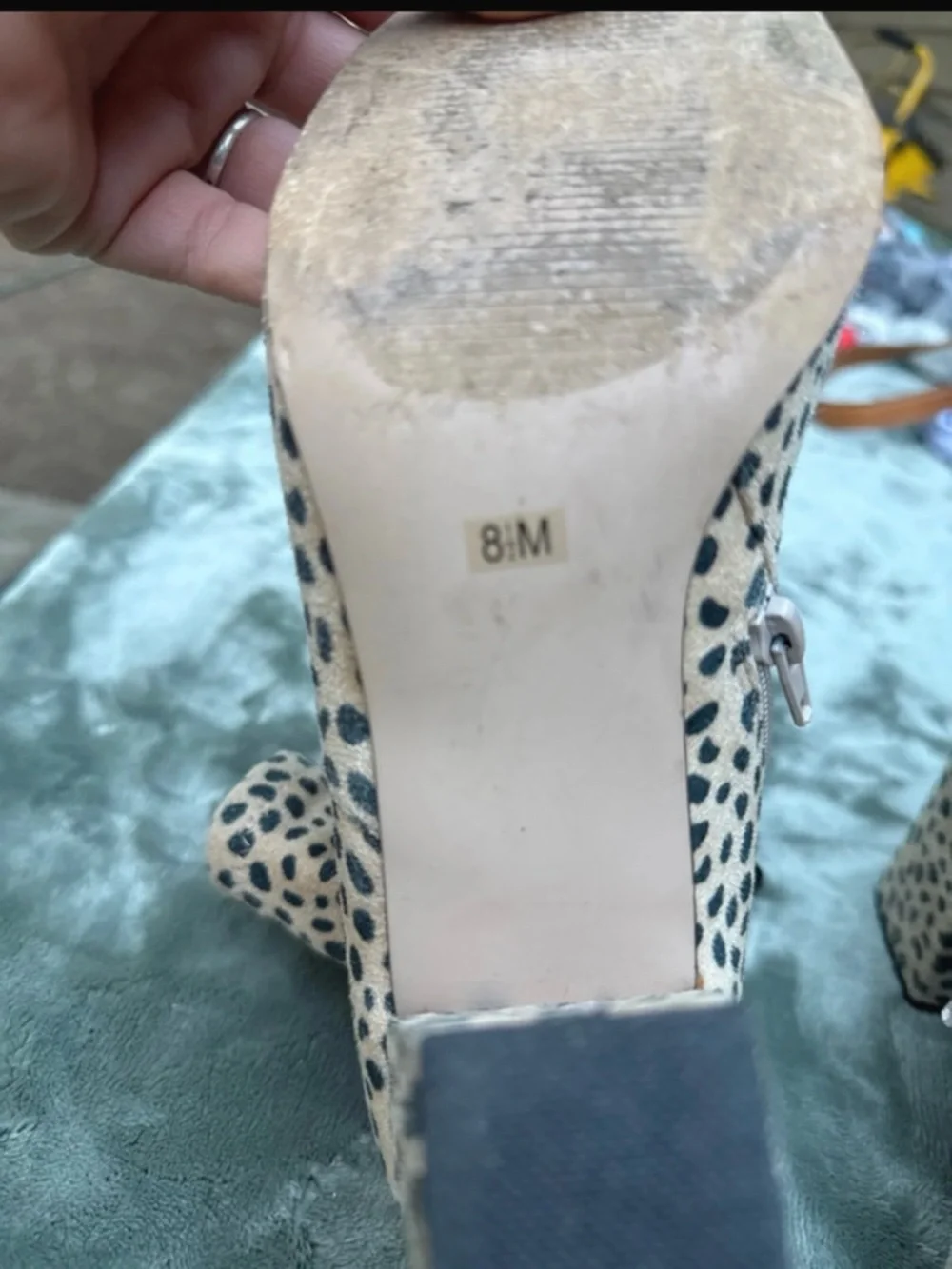 Steve Madden Cheetah Spot Ankle Boots in Cream & Black